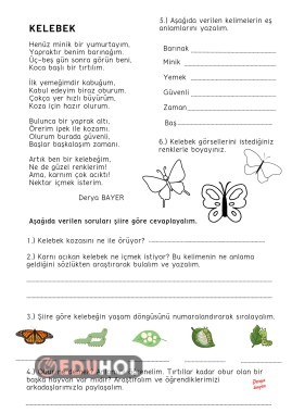 Okuduğunu anlama şiir KELEBEK