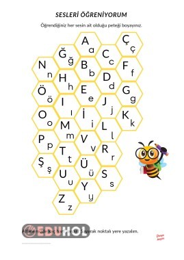 Sesleri öğreniyorum petekleri boyuyorum
