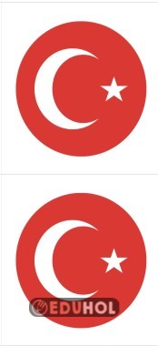 Türk Bayrağı Rozeti