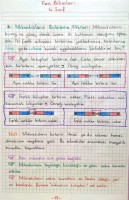 Mıknatısın Birbirine Etkileri 4. Sınıf