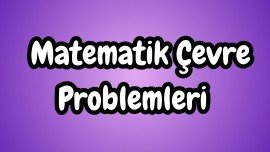Çevre Problemleri
