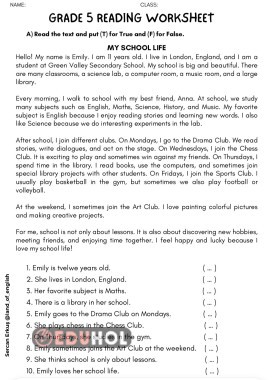 Maarif Model 5.1. reading true false