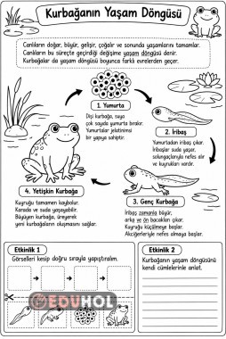 CANLILARIN YAŞAM DÖNGÜSÜ