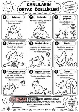 Fen Bilimleri- Canlıların Ortak  Özellikleri