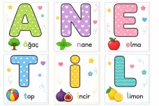 A N E T İ L