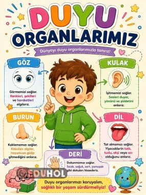 DUYU ORGANLARIMIZ PANOSU