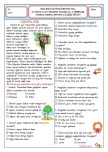 4. Sınıf Türkçe 2. Dönem 2. Yazılı Soruları Word
