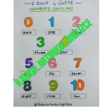 2.SINIF 4.ÜNİTE NUMBERS