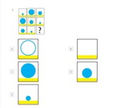 Bilsem Hazırlık 1. Sınıf Mini Deneme. Başarılar.