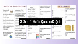 3.sınıf 1.hafta çalışma kağıdı