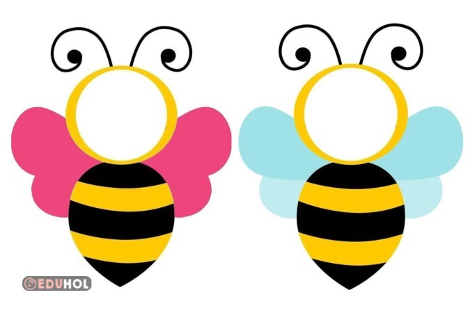 Arılar sınıfı pano