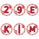 29 Ekim 100.YIL PANO YAZISI