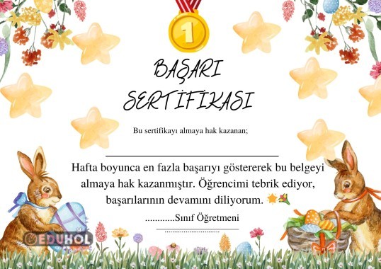 İLKOKUL HAFTALIK BAŞARI SERTİFİKASI