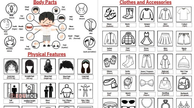 5.T3.Physical Features & Clothes Words