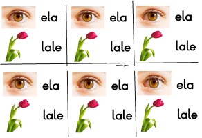 ela ve lale deftere yapıştırma