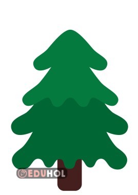 ÇAM AĞACI 9 A4 LÜK