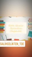 Edebi Akımlar - Natüralizm(Doğalcılık)