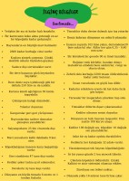 EĞLENCELİ İLGİNÇ BİLGİLER