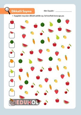 DİKKATLİ SAYMA ETKİNLİĞİ