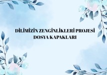 BÜTÜN DOSYA KAPAKLARI