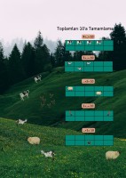 Toplamları 10'a Tamamlama