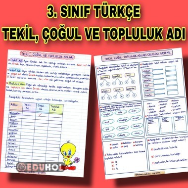 3. Sınıf Türkçe Tekil, Çoğul ve Topluluk Adları