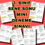 3. Sınıf Sene Sonu Mini Deneme Sınavı