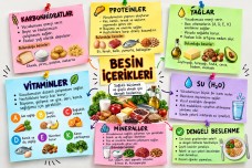 BESİN İÇERİKLERİ TEKRAR SAYFALARI