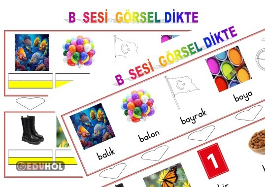 B SESİ GÖRSEL DİKTE ÇALIŞMASI