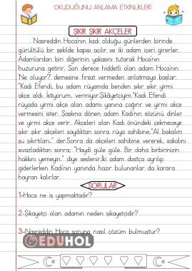 OKUDUĞUNU ANLAMA  ÇALIŞMALARI 5