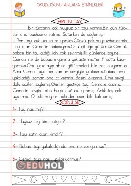 OKUDUĞUNU ANLAMA ETKİNLİKLERİ-9-