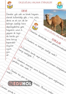 OKUDUĞUNU ANLAMA ETKİNLİKLERİ(DEVE)