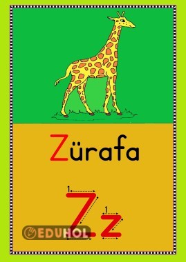 Z SESİ PANO GÖRSELİ