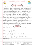 OKUDUĞUNU ANLAMA ÇALIŞMALARI 24