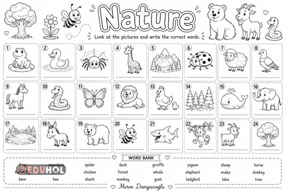 Nature