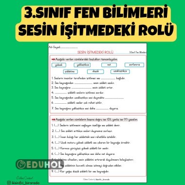 3.SINIF FEN BİLİMLERİ SESİN İŞİTMEDEKİ ROLÜ ETKİNLİK
