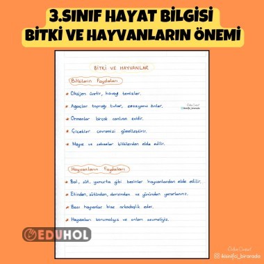 3.SINIF HAYAT BİLGİSİ  BİTKİ VE HAYVANLARIN ÖNEMİ DEFTER NOTU