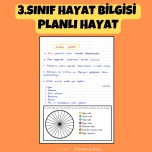 3.SINIF HAYAT BİLGİSİ PLANLI HAYAT DEFTER NOTU
