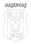 BEŞİKTAŞ BOYAMA