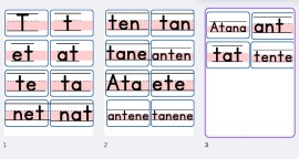 a-n-e-t harfleri hece ve sözcük kartları