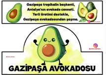 Yerli Malı Haftası Sebze ve Meyve Taçları