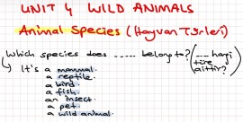 7. Sınıf 4. ünite Notlar