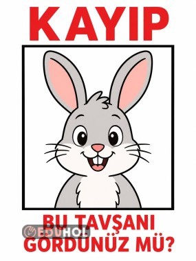 Kayıp Tavşan_Uyum Haftası Etkinliği