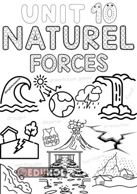 8.10 Ünite Kapak Tasarımı