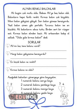 ALİ'NİN RENKLİ BALONLARI OKUMA METNİ