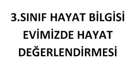 3.SINIF EVİMİZDE HAYAT TEMA DEĞERLENDİRMESİ
