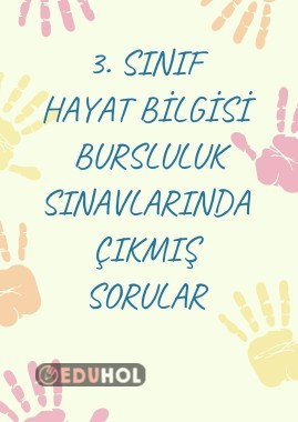 3. Sınıf Hayat Bilgisi Bursluluk Sınavında Çıkmış Sorular