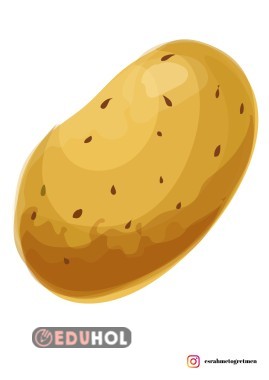 Patates çok sayfalı poster