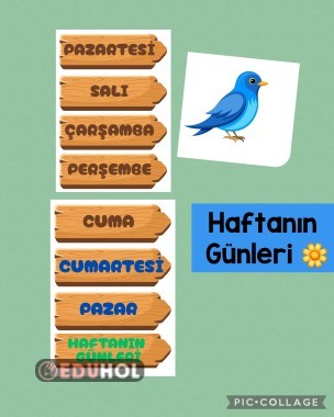 HAFTANIN GÜNLERİ DUVARA ASMALIK