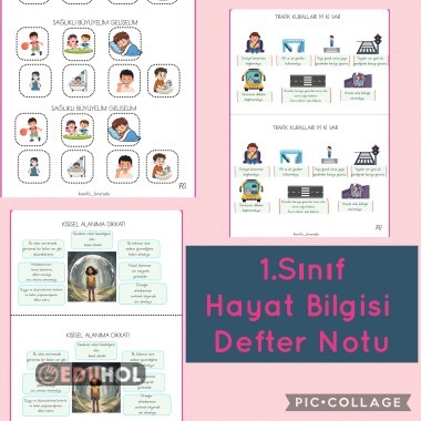 Hayat Bilgisi Defter Notu